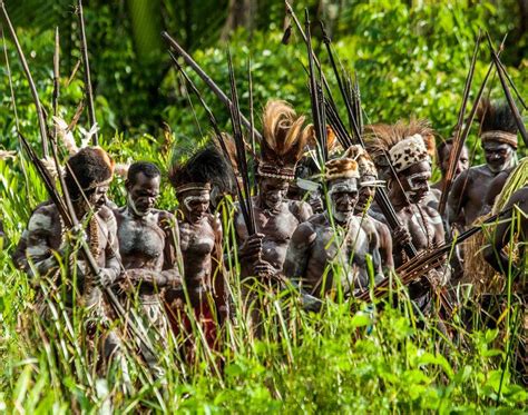 are there cannibal tribes in the amazon|Cannibals of the Amazon: A Deep Dive